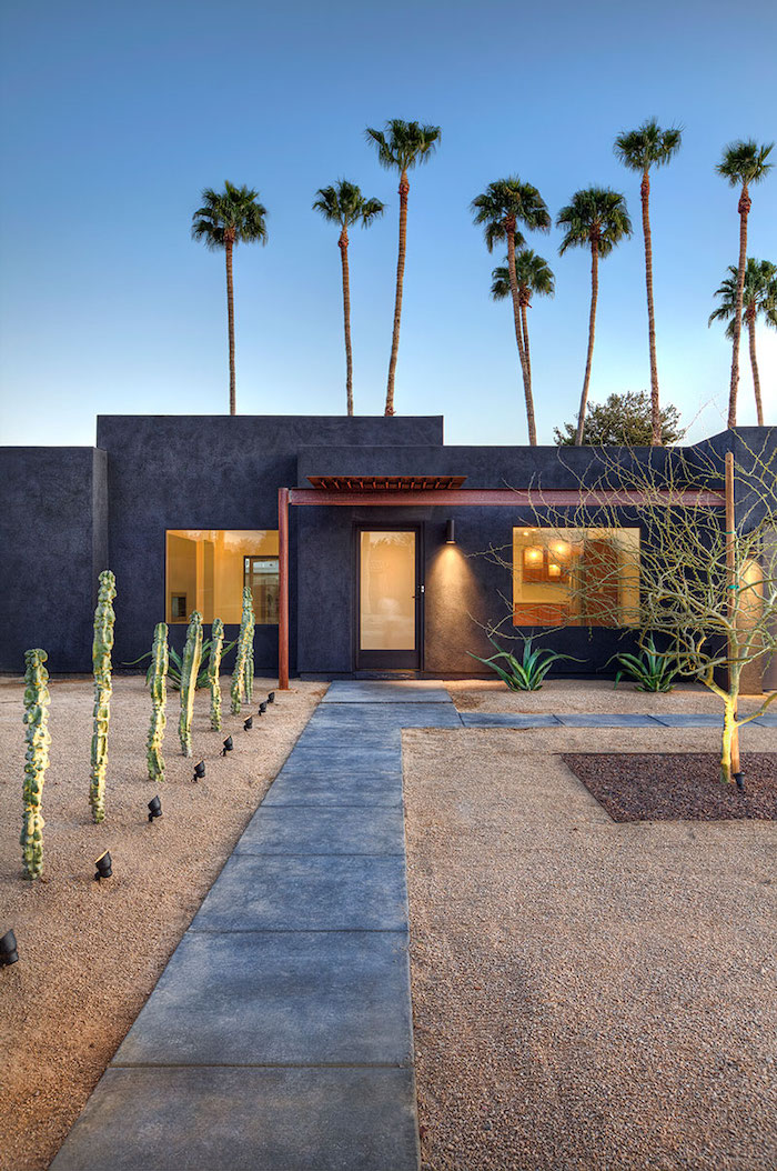 patch of sand with stone tiles for pathway, different types of cactuses, tall palm trees, landscaping ideas