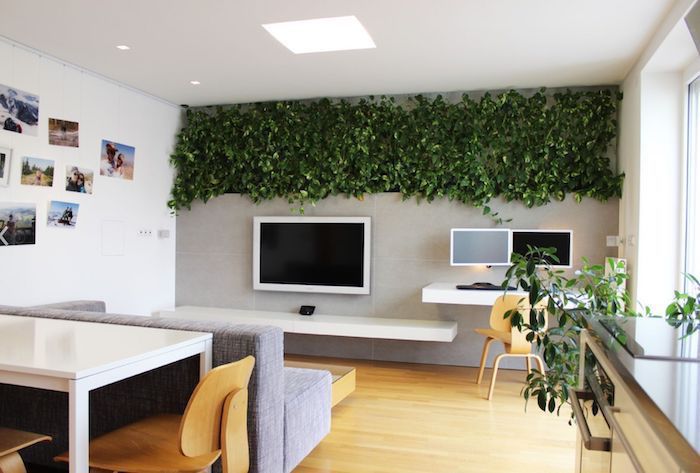 greenery installation hanging from the ceiling, living room paint ideas, grey sofa