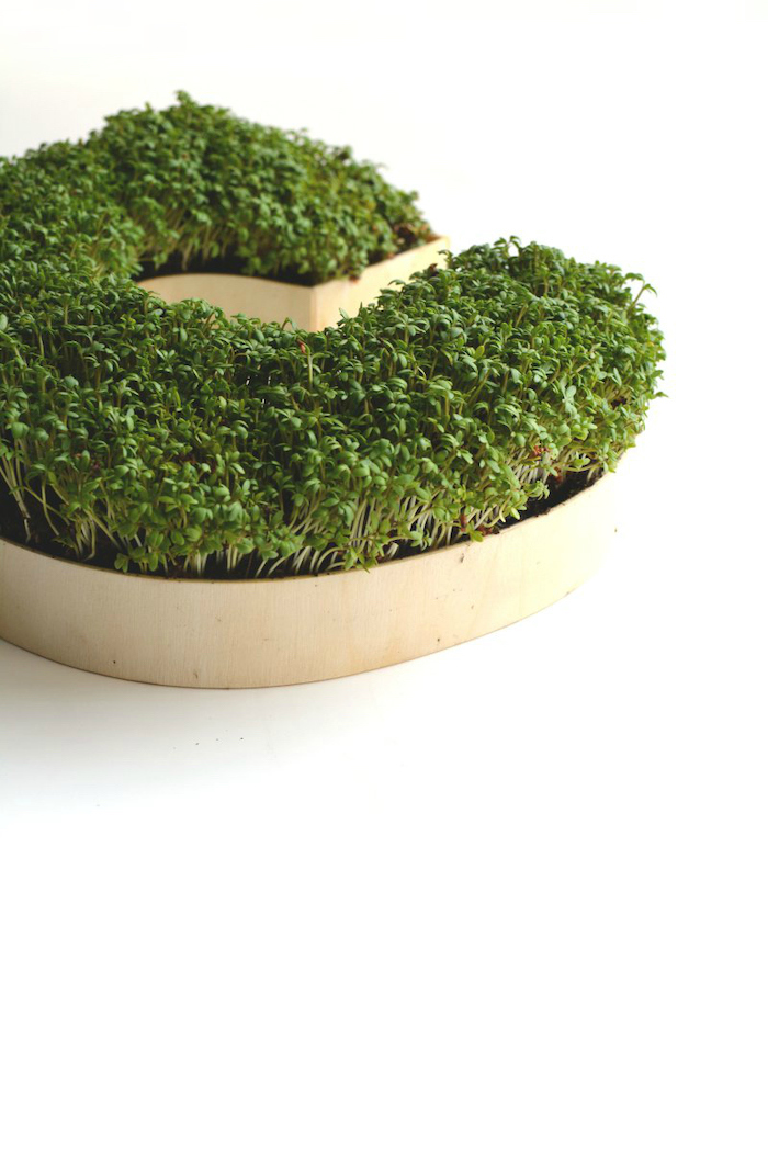 grown cress, landscape border ideas, wooden c letter