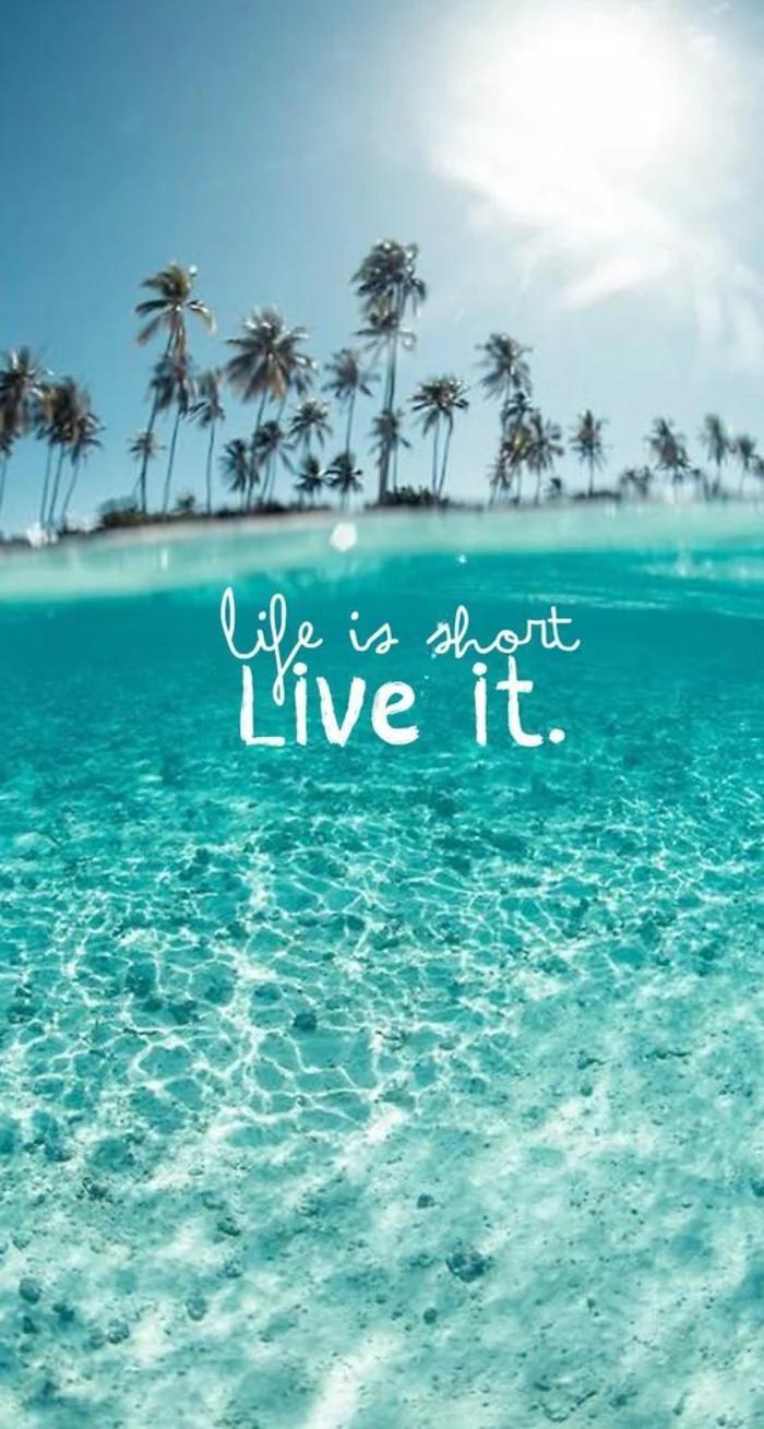 life is short live it, nature iphone wallpaper, palm trees in the background