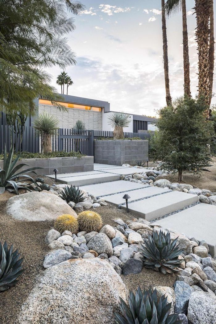 sand patch with stone tiles and rock for pathway, landscaping ideas, large rocks with different types of cactuses, tall palm trees