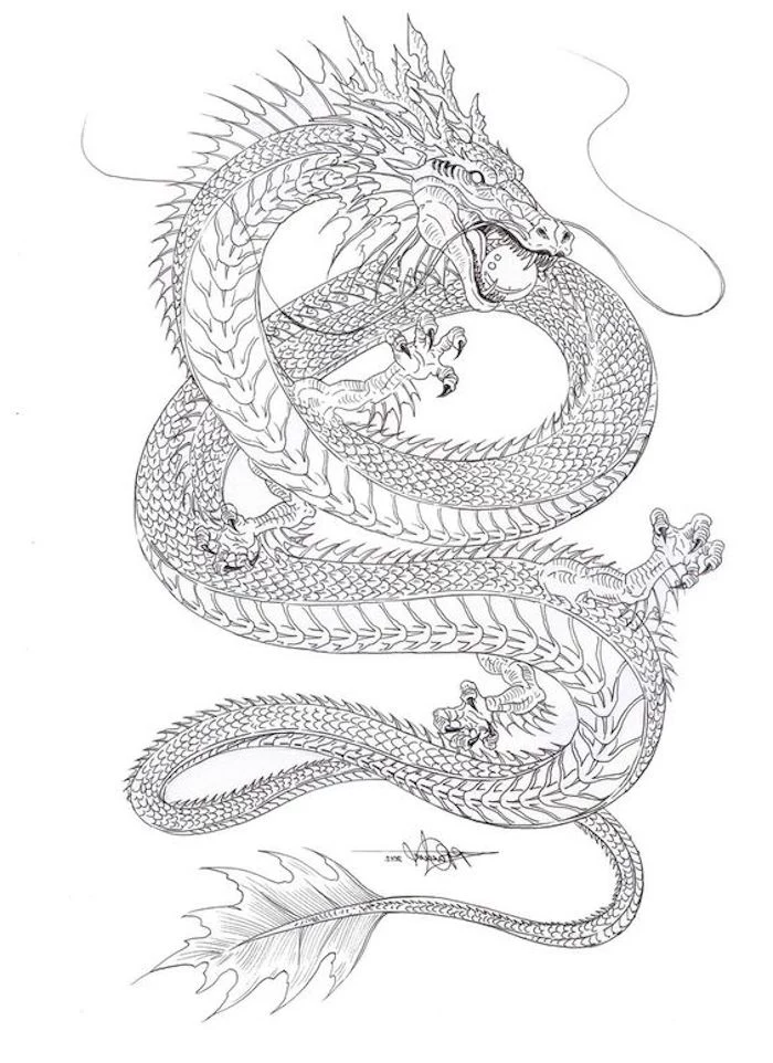 tattoo designs for women, black and white drawing, large s shaped dragon, white background