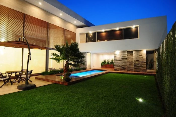minimalistic house design, small pool, crawling plants on the wall, landscaping ideas for front of house, small palm tree, large grass patch