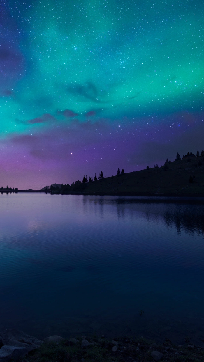 northern lights, starry sky, summer iphone wallpaper, trees around a lake