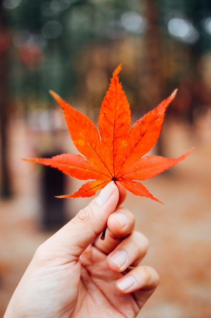 ▷ 1001 + ideas to choose the best iPhone wallpaper ▷ 1001 + ideas to choose the best iPhone wallpaper