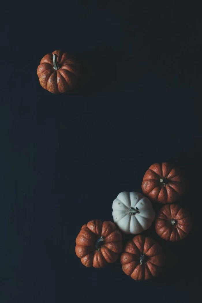 black background, motivational iphone wallpaper, orange and white pumpkins