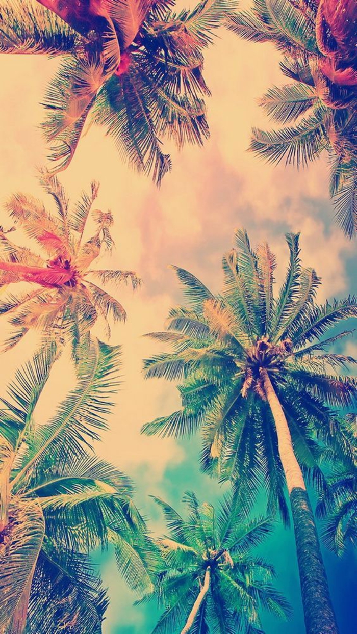 palm trees in the background, orange and turquoise sky, motivational iphone wallpaper