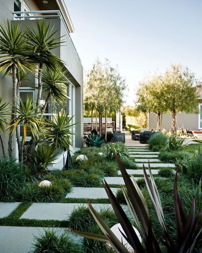 stone tiles in the grass pathway, pool landscaping ideas, small bushes and palm trees, round lights