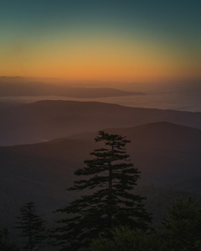 motivational iphone wallpaper, pine trees, black mountains, orange sky at sunset