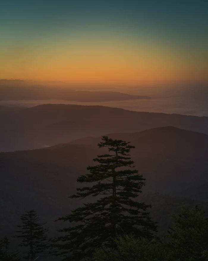 motivational iphone wallpaper, pine trees, black mountains, orange sky at sunset