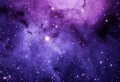 Choose the best iPhone wallpaper