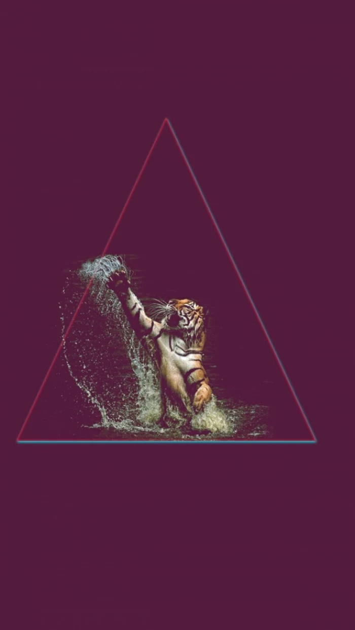 purple background, awesome iphone wallpapers, tiger in water and in a triangle
