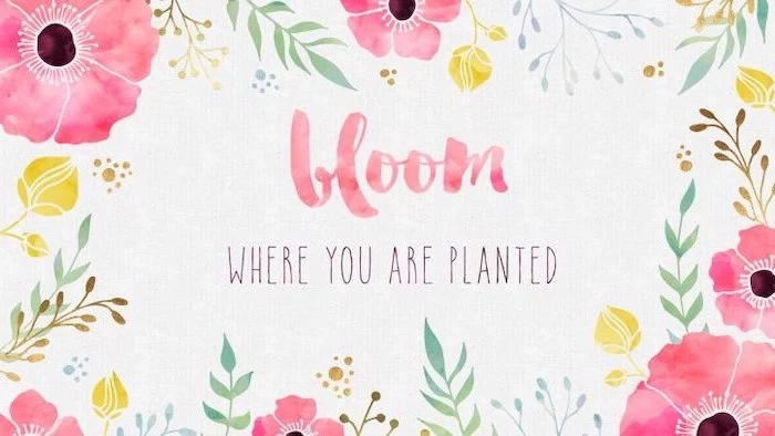 bloom where you are planted quote, spring wallpaper for desktop, drawing of flowers, on a white background