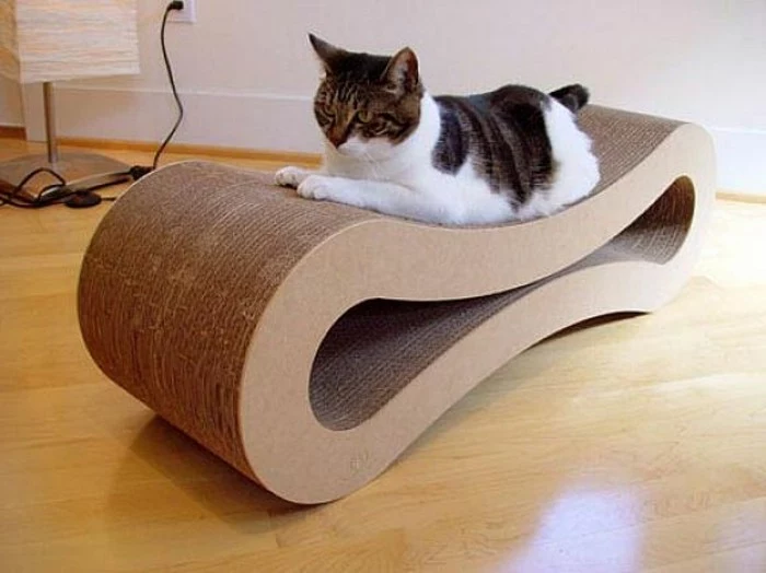 cardboard shelves, cat sitting on a cardboard bed, minimalist modern design, wooden floor