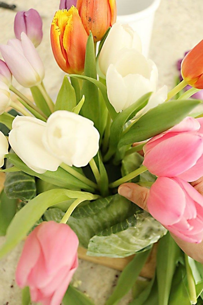 easter decorating ideas, large bouquet of tulips, inside a cabbage, diy tutorial