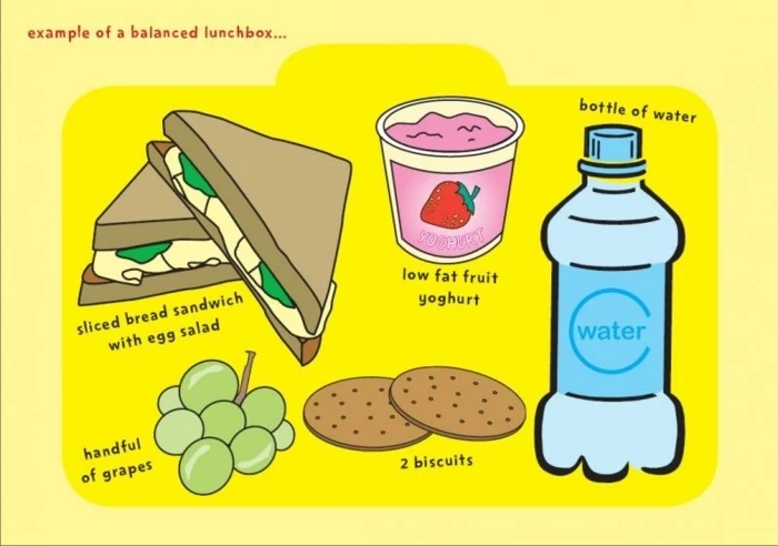 drawing of healthy foods, diets for women, example of a balanced lunchbox, bottle of water, yogurt and grapes