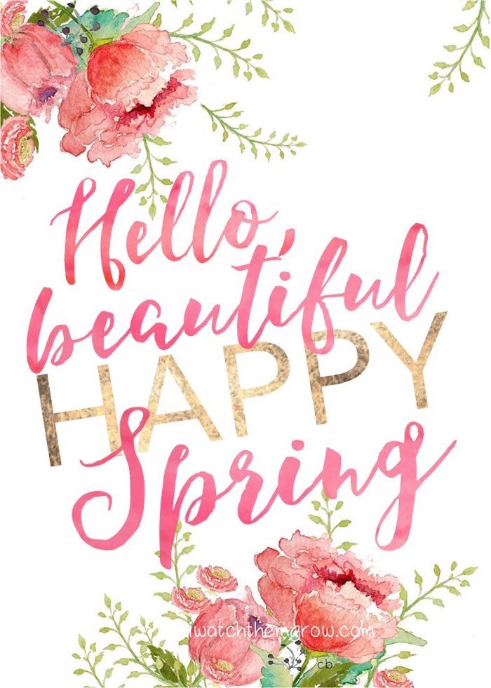 hello beautiful, happy spring quote, drawings of roses, phone background, images of spring