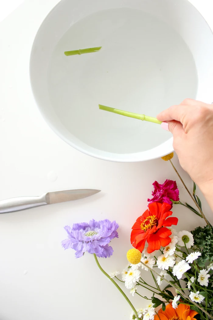 white vase, filled with water, colourful flowers and a knife, on a white countertop, flower centerpieces