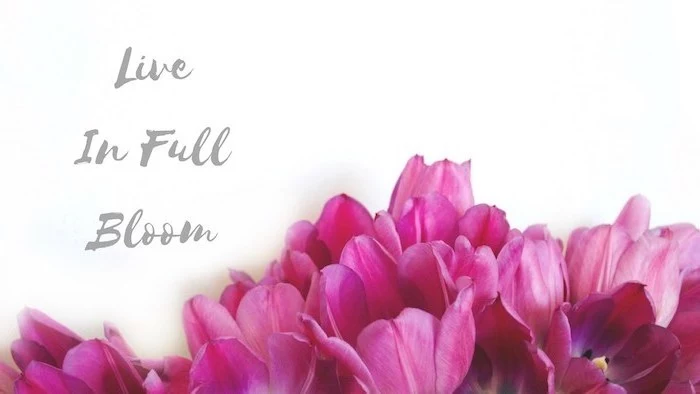 live in full bloom quote, on a white background, spring flowers background, pink tulips