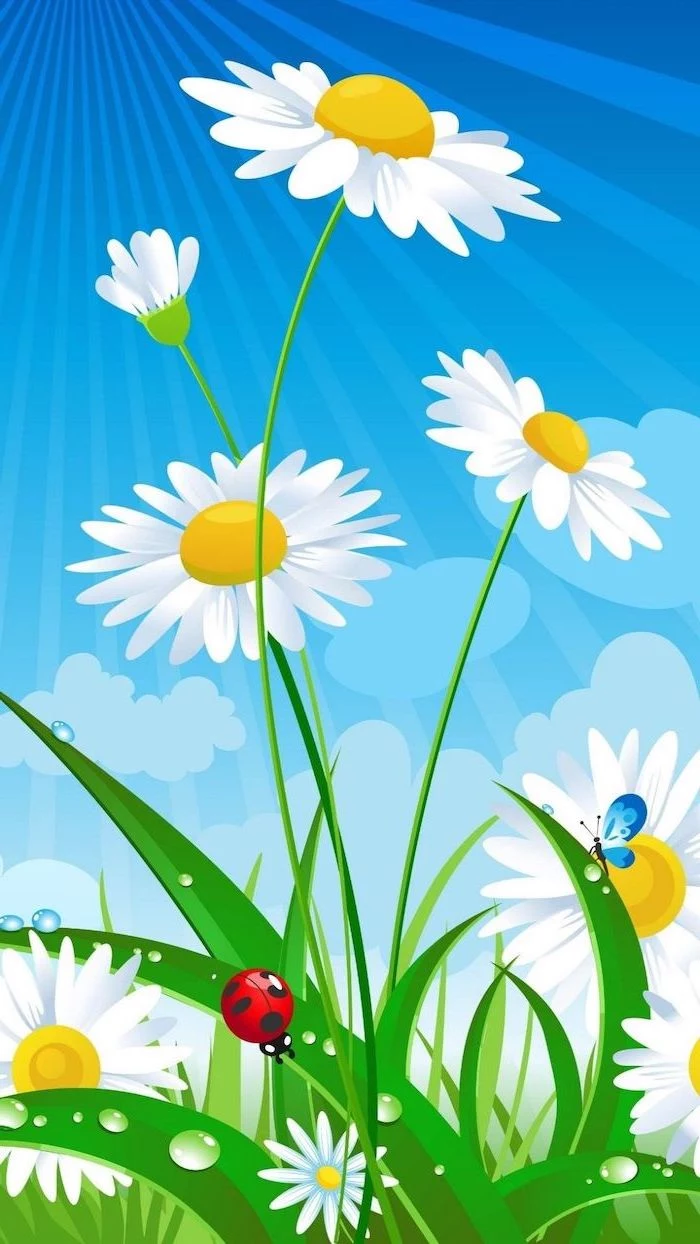 drawing of daisies, with a butterfly and a lady bug, phone background wallpaper, spring desktop wallpaper