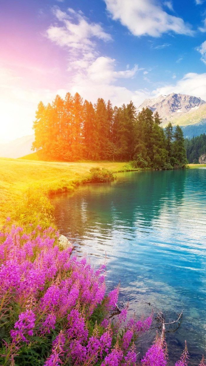 mountain landscape, phone wallpaper, happy spring images, trees and flowers, along a large lake