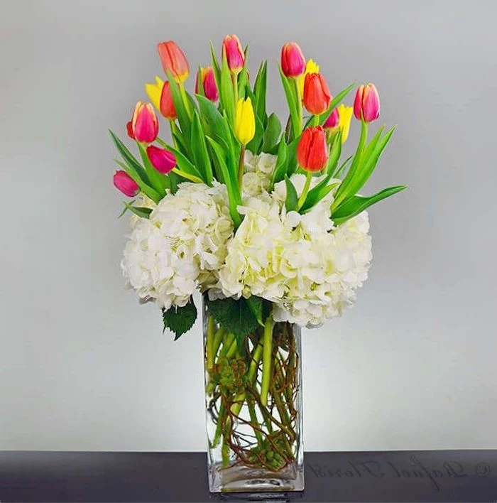 pink and yellow tulips, flower bouquet, in a square glass vase, in front of a white background, how to arrange flowers