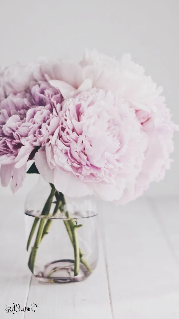 bouquet of pink peonies, happy spring images, phone wallpaper, bouquet in a glass vase, on a wooden table