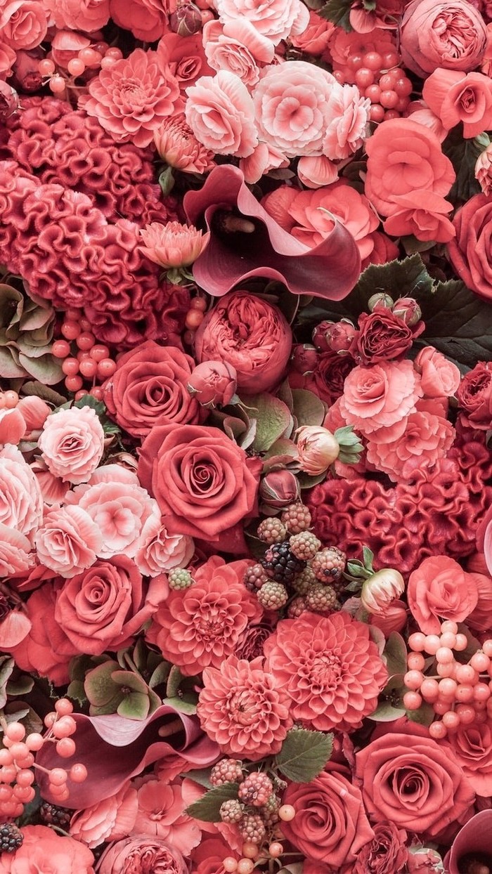 spring wallpaper hd, red and pink flowers, roses and peonies, floral phone wallpaper