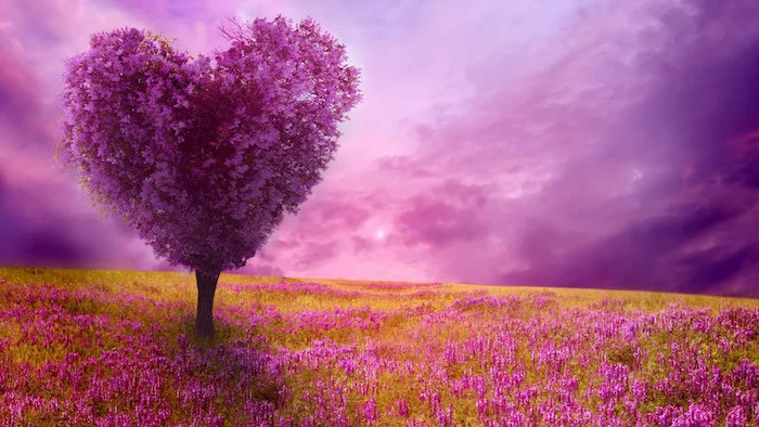 purple heart shaped tree, spring desktop backgrounds, purple skies, pink flowers field