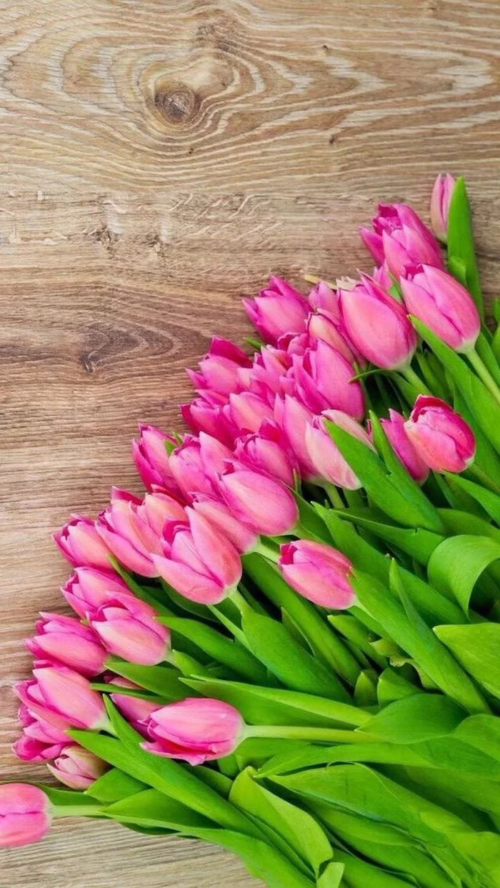 pink tulips, on a wooden table, spring wallpaper hd, floral phone wallpaper