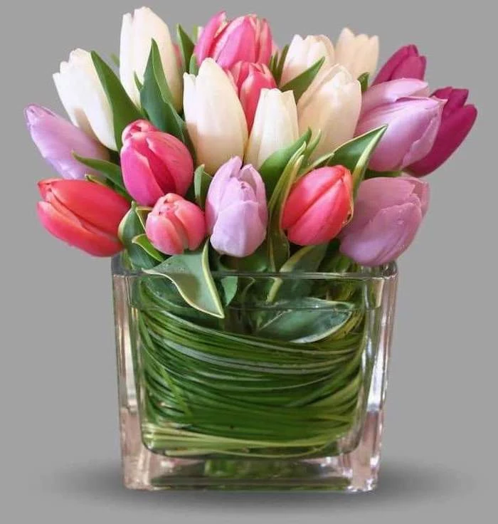 white pink and purple tulips, flower bouquet, small square glass vase, how to make flower arrangements