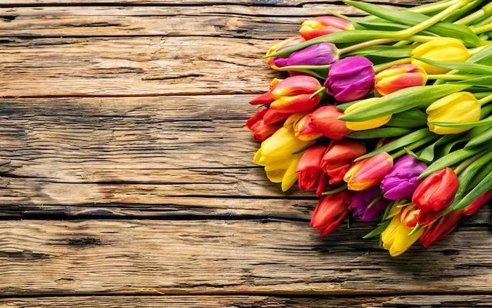 purple yellow and red tulips, on a wooden table, free spring wallpaper, desktop wallpaper