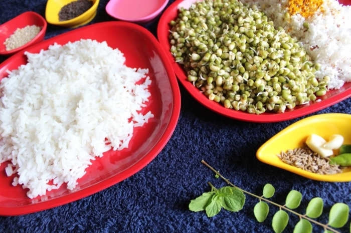 white rice, in a white plate, herbs on the side, blue furry cover, healthy eating meal plan, small colourful bowls