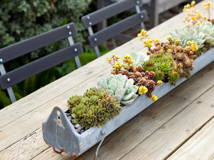 succulents centerpiece, pot made out of metal, rustic style, flower arrangement pictures, on a wooden table