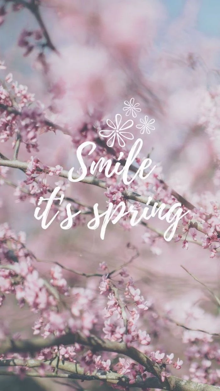 smile it's spring quote, blooming trees in the background, spring flowers wallpaper, phone wallpaper