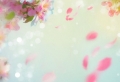 Spring wallpaper – a 100 beautiful images to decorate your phone or computer with