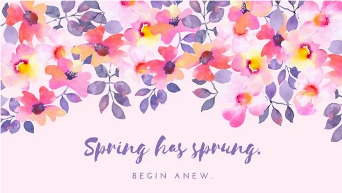 spring has sprung begin anew quote, drawing of flowers, spring cover photo, pink background