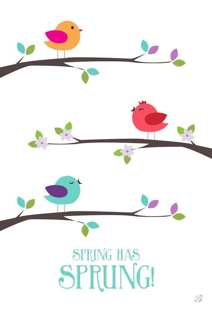 spring has sprung quote, phone wallpaper, three birds on tree branches drawn, spring wallpaper