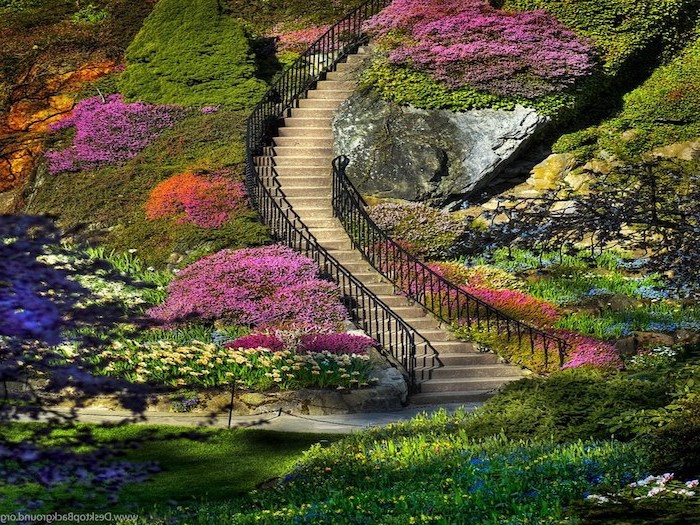 long staircase, flowers and bushes along the staircase, spring cover photo, rocks and moss