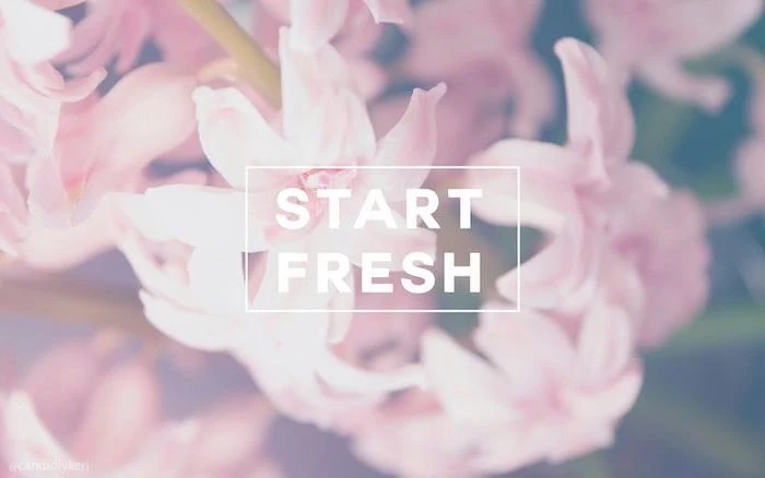 start fresh quote, spring cover photo, pink hyacinth flower, in the background
