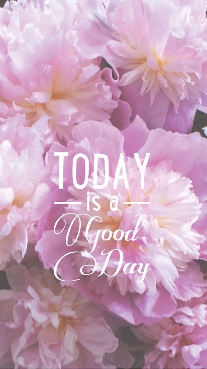today is a good day, inspirational quote, phone wallpaper, pictures of spring, purple flowers in the background