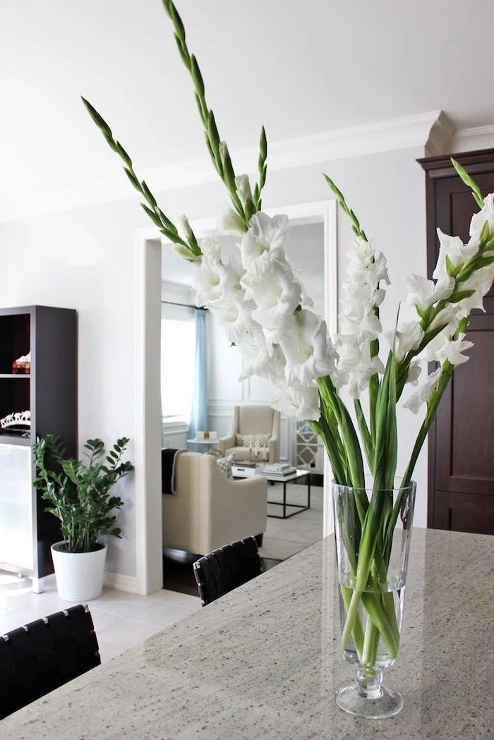 flower arrangements ideas, white gladiolus flowers, in a tall round glass vase, on a granite countertop