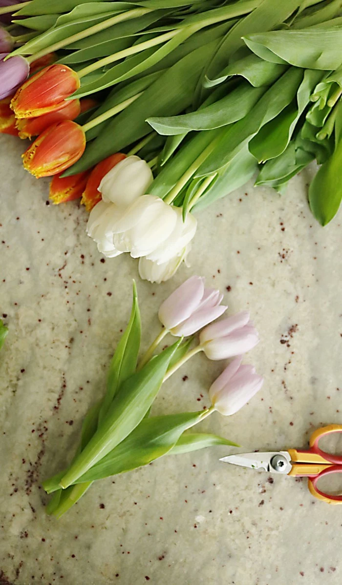 large bouquet of tulips, easter decorating ideas, a pair of scissors, on a granite countertop