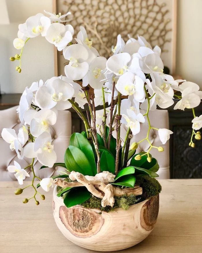 white orchids, in a wooden pot, with moss in it, mason jar flower arrangements, on a wooden table