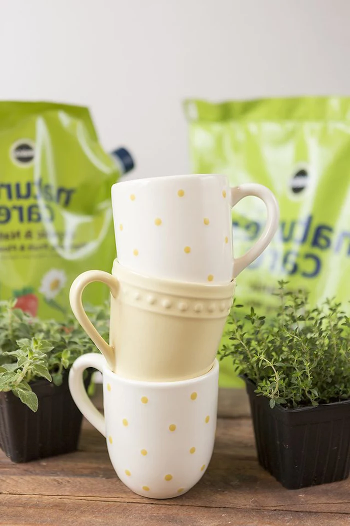 housewarming gift ideas, coffee mugs, herb garden, diy tutorial, step by step