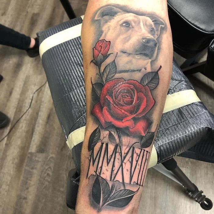 dog and roses, roman numeral tattoo ideas, black leather chair, forearm tattoo