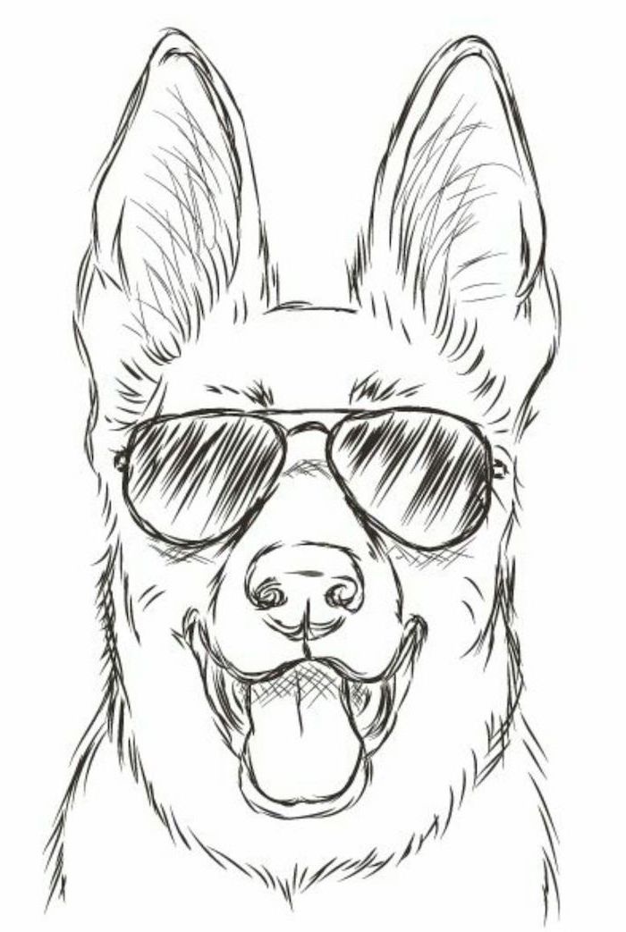 100 Photos And Tutorials For Cool Things To Draw And Get Inspiration From   Dog With Sunglasses Black White Pencil Sketch Easy Things To Draw For Beginners 