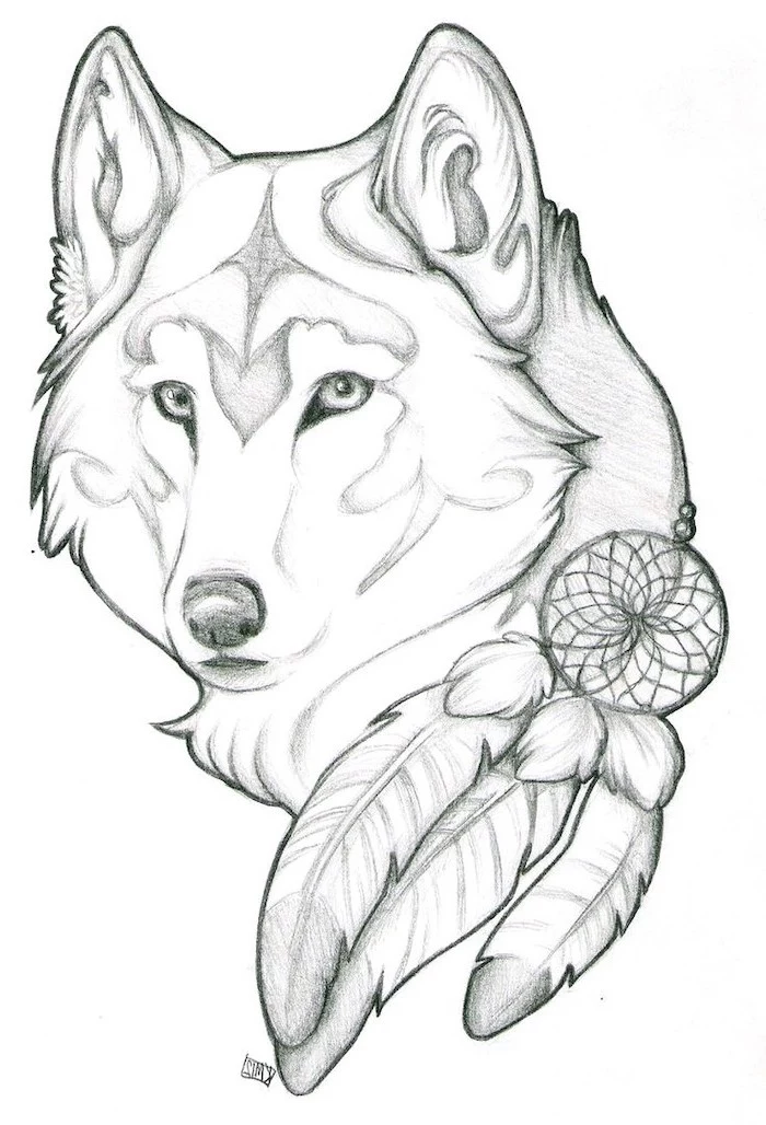 large wolf head, with a dreamcatcher, cute easy things to draw, black and white, pencil sketch