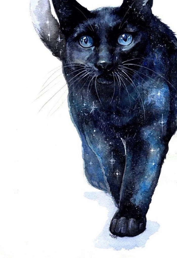galaxy cat, with blue eyes, colourful drawing, easy things to draw step by step, white background