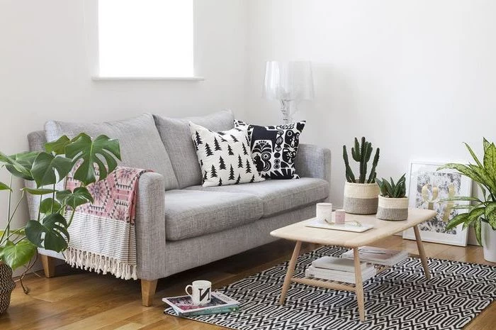 grey sofa, wooden coffee table, living room furniture layout, white walls, potted plants, wooden floor